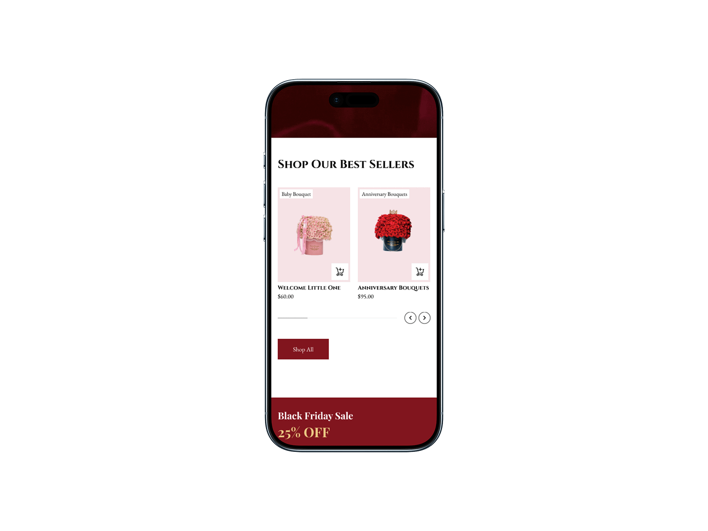 V.E.F phone mockup